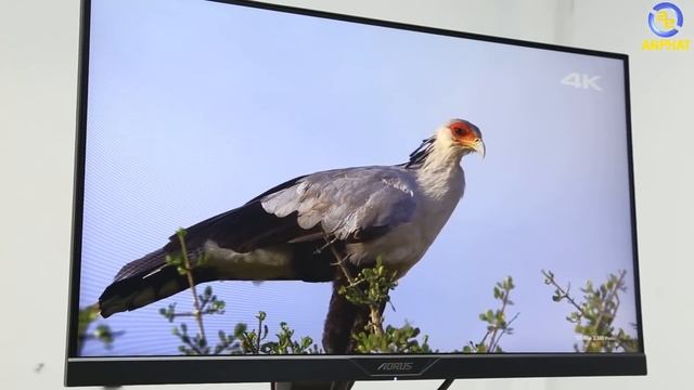 Màn hình chơi game AORUS KD25F – Không dừng lại ở mọi giới hạn | An Phat PC смотреть онлайн