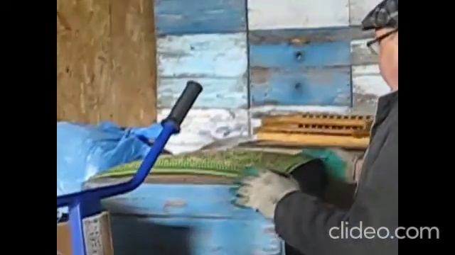 Экскурсия на пасеку 400+ в Воронежскую область к Сущенко Игорь Николаевичу смотреть онлайн