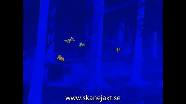 Infiray Finder FL25R смотреть онлайн