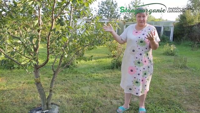 Отзыв ученицы эксперта Strogoorganic онлайн-школы садоводов