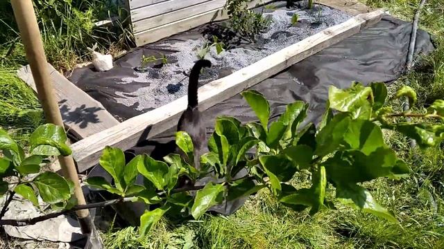 Последние Майские деньки на Даче 2023 смотреть онлайн