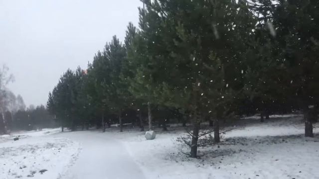 Просто жизнь! С днём рождения комсомола! смотреть онлайн