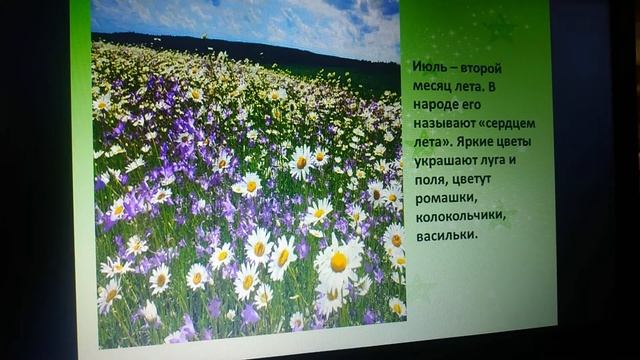 "Лето" развивающее занятие для детей 5-7 лет смотреть онлайн