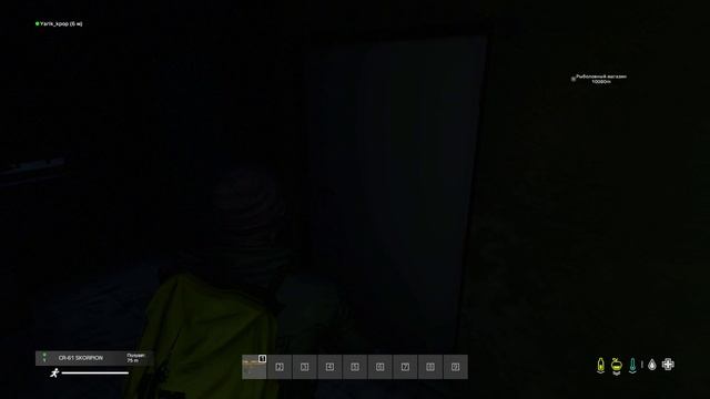 day Z [Святая звезда] смотреть онлайн