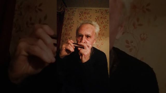 На губной гармошке в 80 лет смотреть онлайн