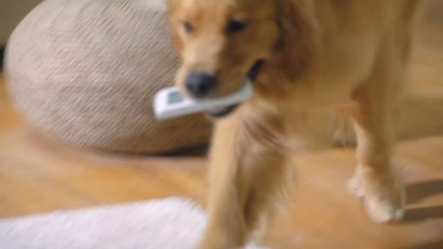 Мобильный кондиционер Midea (1) смотреть онлайн