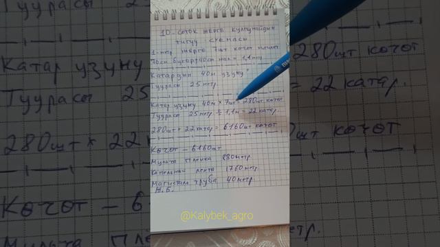 10-соток жерге кулпунай тигуу схемасы @Kalybek_agro инстаграмм жана тикток смотреть онлайн