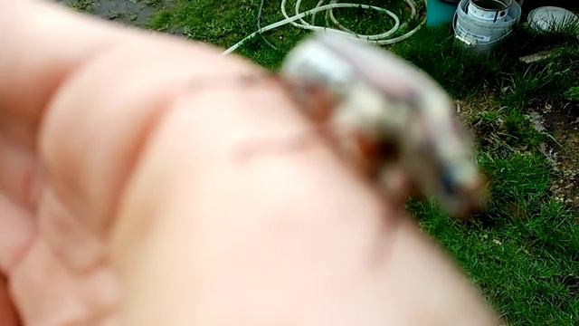 Поймал Майского жука 8 мая смотреть онлайн