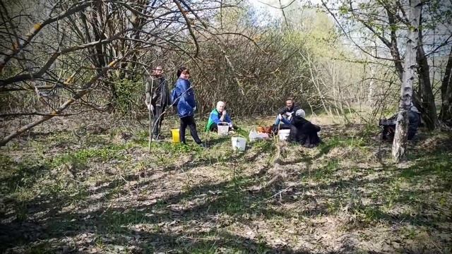 Весенние грибы, сморчки, сморчковые шапочки. Липецкая область. 30 апреля. смотреть онлайн