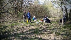 Весенние грибы, сморчки, сморчковые шапочки. Липецкая область. 30 апреля.