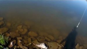 Ловля окуня # на бомбарду.Изготовление бомбарды # и тест на водоеме.Рыбалка на Ишиме.