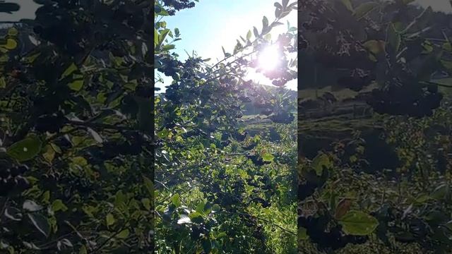 Строительные Вдохновения