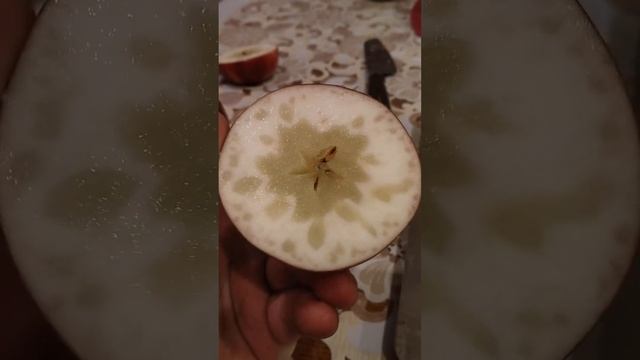 Стройка Гуру