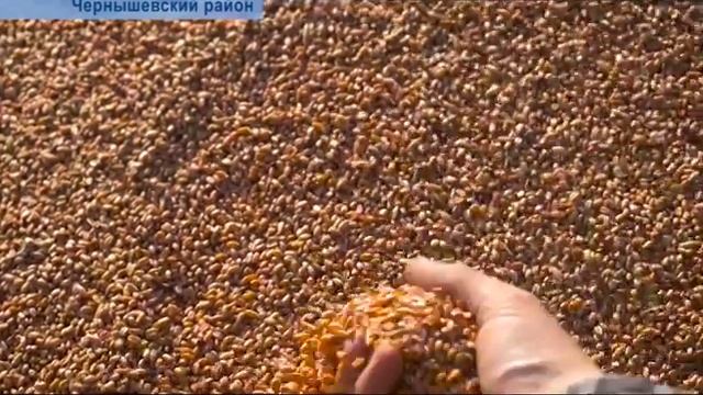 Закон о лесозаготовка и субсидии сельскому хозяйству обсудили парламентарии Забайкальского края смотреть онлайн