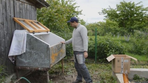 Содержание бройлеров