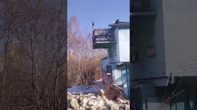 Москва Орехово Борисово Южное ))) смотреть онлайн