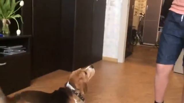 Вот и бонус!!! смотреть онлайн