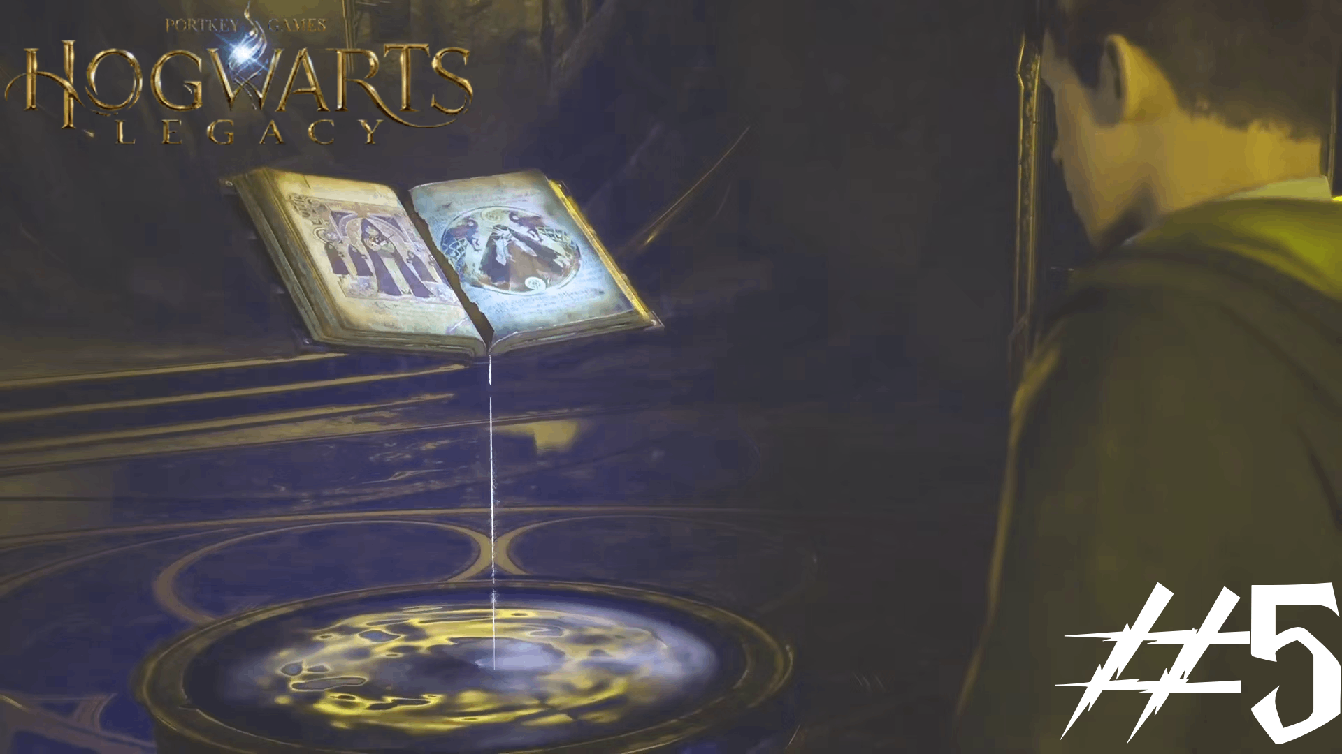 СЕКРЕТНАЯ СЕКЦИЯ - НАС ПОЙМАЛИ!!! Hogwarts Legacy * #5