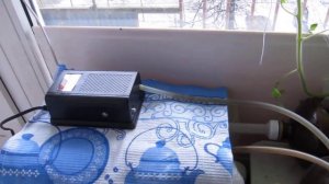 Огурцы на окне проще простого! Гидропоника.