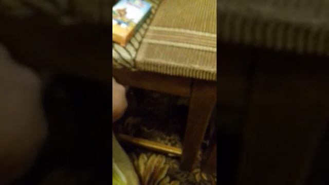 Вещи моего хомяка,а также лакомства! смотреть онлайн