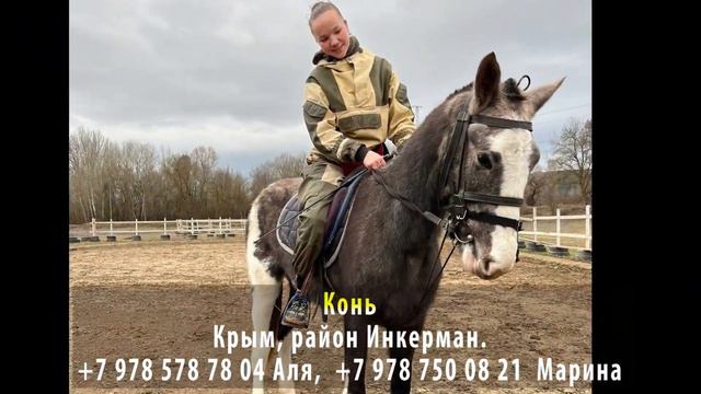 ПРОПАЛ КОНЬ! Крым, район Инкерман смотреть онлайн