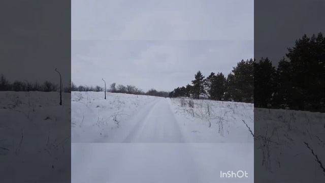 1000 косуль! смотреть онлайн