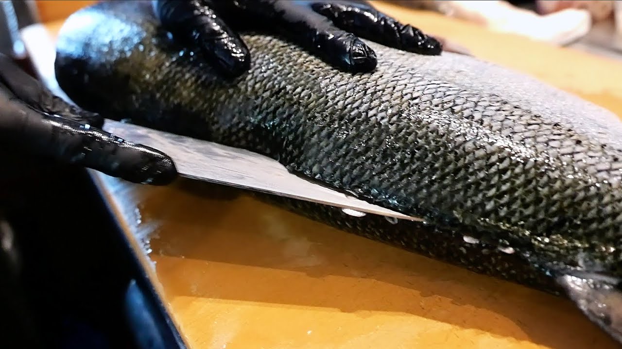 Японская еда - Гигантский лосось и морской лещ сашими Нью-Йорк Америка