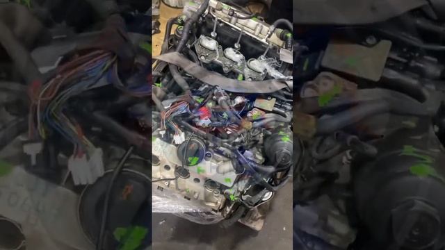Осмотр двигателя для Audi Q7 3.0 tdi v6 BUG смотреть онлайн