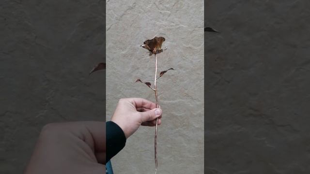 Медная Кованая Роза, Маленькая смотреть онлайн