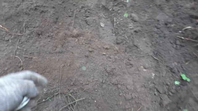 Копали как экскаваторы / Нашли серебро / Шурф лесных фундаментов смотреть онлайн