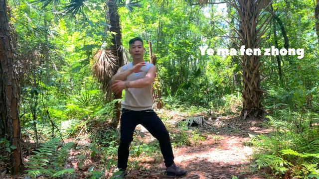 TAI CHI-QIGONG WORKOUT MORNING ROUTINE / 10 TAICHI , QIGONG EXERCISE YOU HAVE TO KNOW / 太极气功健身功法￼ смотреть онлайн