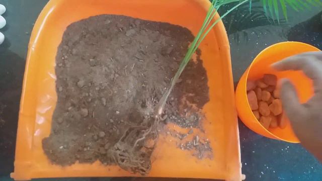 How to prepare indoor plant potting soil
//Best pottingmix for indoor plants 5 October 2019 смотреть онлайн