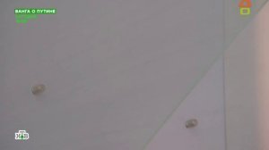 Dachni otvet 25.03.2018 дачный ответ на remont-online.net