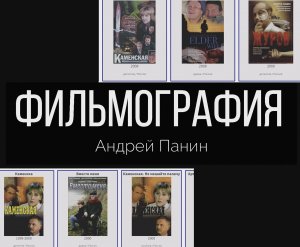 В каких фильмах снимался Андрей Панин