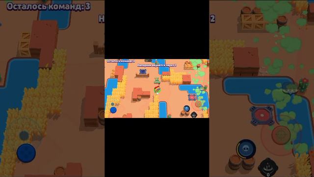 24 января 2024 г.