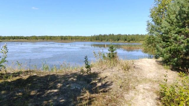 Красивейшее место в Ярославле. Пруд "Медведь" смотреть онлайн