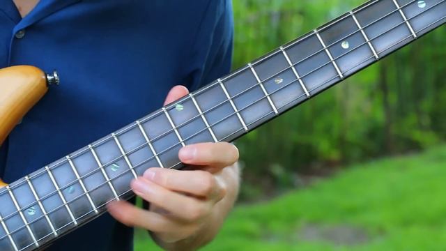 Pixies 'WHERE IS MY MIND' (Fight Club) - Beautiful Solo Bass Arrangement смотреть онлайн