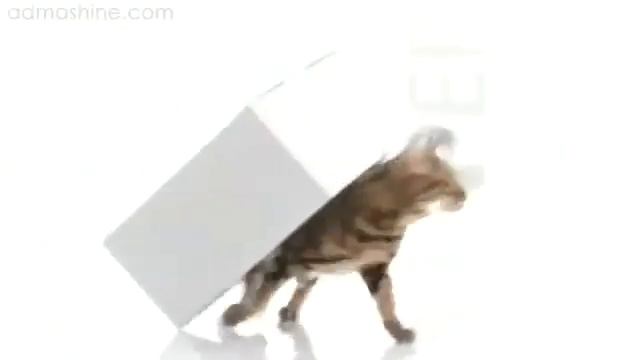 Корм для кошек Perfect Fit смотреть онлайн