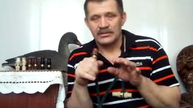 Белолобый гусь. Урок 5.MOV смотреть онлайн