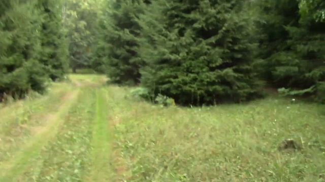 Гумеровское ущелье. Башкортостан смотреть онлайн