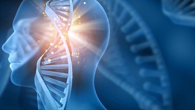 Meditation Music, 3 Hours of Music, No Loops, Relaxing Music, Stress Relief смотреть онлайн