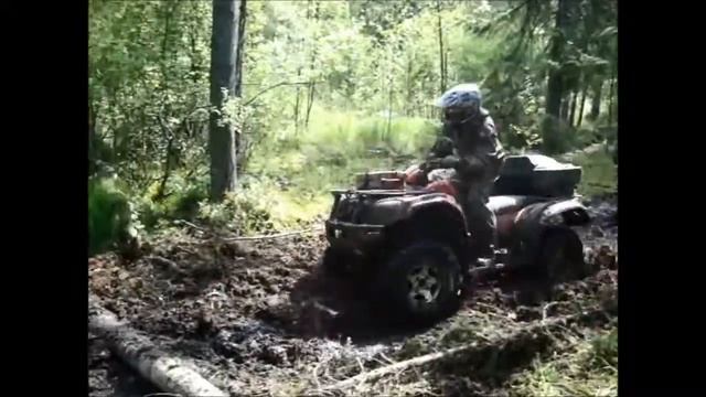 квадры новое