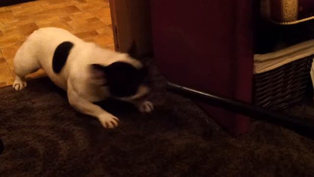 Не совсем добрая Моня смотреть онлайн