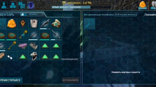 ГАЙД как приручить КЕТЦАЛЯ это реально работает #мокикетцаль смотреть онлайн