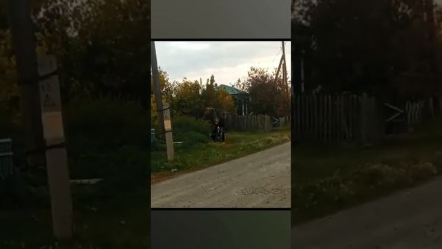 Да да #like #shortvideo #мотоцикл #урал #рекомендации #подпишись #новости #рек #приколы #жара смотреть онлайн
