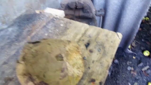 НАЗБИРАТИ ГРИБІВ ДОЩОВИКІВ НЕВДОЛОСЯ ПРОТЕ Є БАГАТО МАСЛЯТ смотреть онлайн