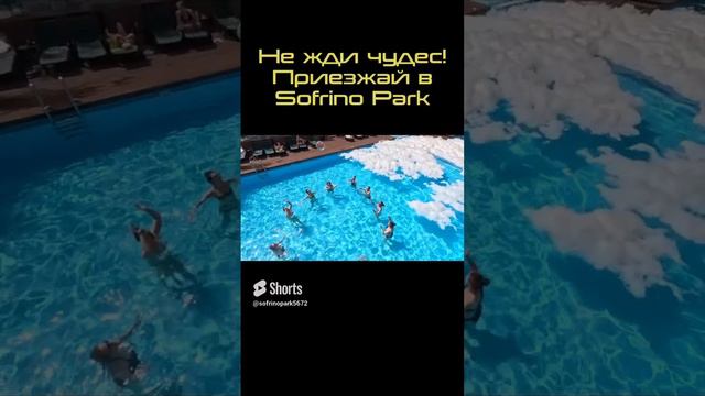 Чудо чудное! #shorts смотреть онлайн