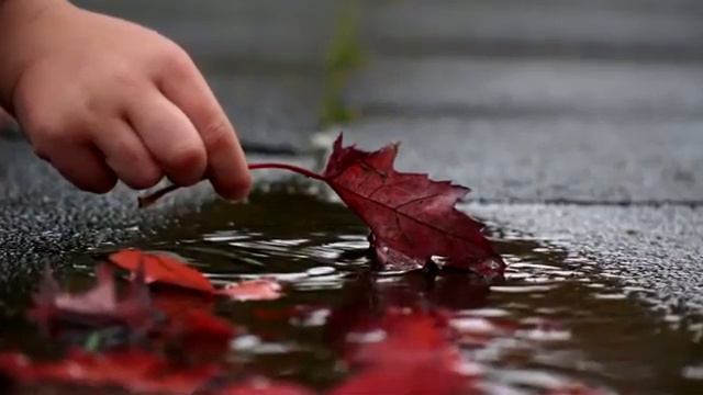 Важно! 20 заклятых врагов шайтана? смотреть онлайн