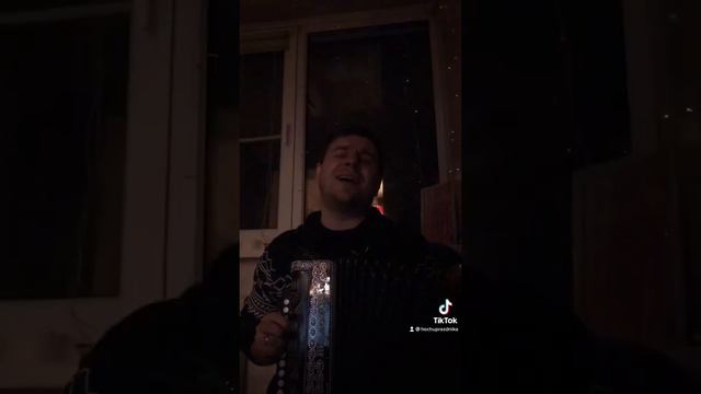 Сергей Макаров - «Ленинградский горьковатый хлеб» кавер-версия под гармошку. (М.Гуцериев) смотреть онлайн