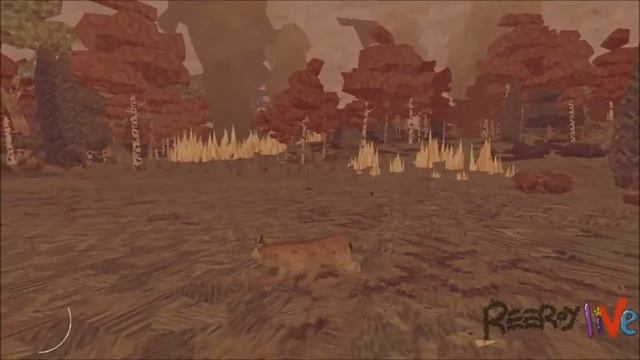 SHELTER GENERATIONS REE-VIEW смотреть онлайн